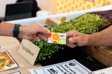 WIC Application Guide by State