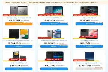 government phone companies