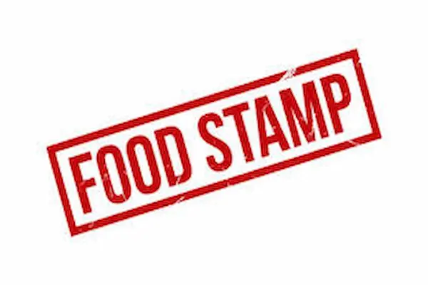 how to apply for food stamps